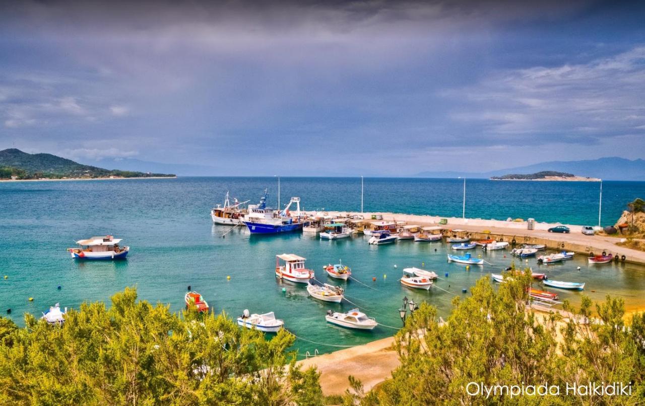 Mirini • Ancient Stagira Apts • Chalkidiki Olympiada Exterior foto